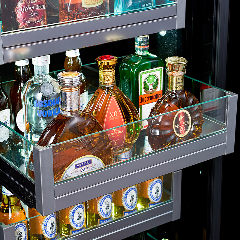 Getränkekühlschrank und -kühle – Wine Beer Mini Fridge Bewertung und Preis