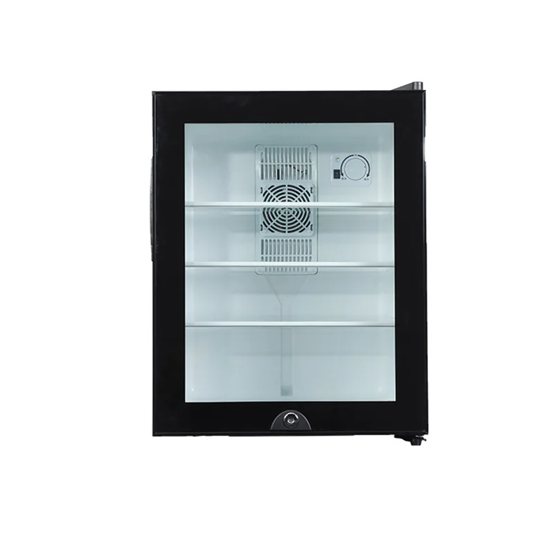Mini-Kühlschrankkühler, 40 l,  – Wine Beer Mini Fridge Bewertung und Preis